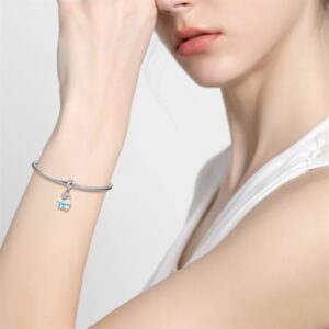 Charm bạc PD0450