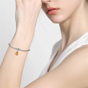 Charm bạc PD0624