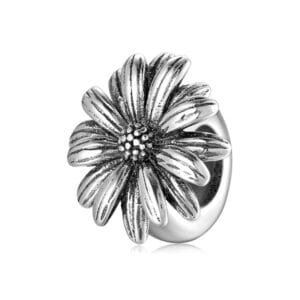 Charm bạc PA0135