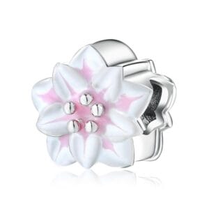 Charm bạc PC0100