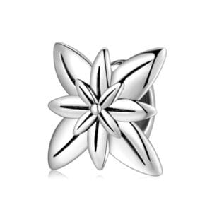 Charm bạc PA0152