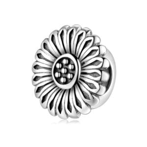 Charm bạc PA0150