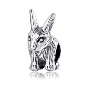 Charm bạc PC0116