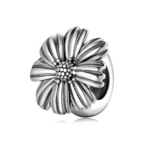 Charm bạc PA0134