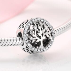 Charm bạc PC0241