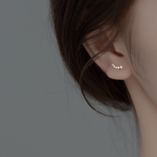 Khuyên tai bạc Le'Mare Jewelry G8535 - Ảnh 4