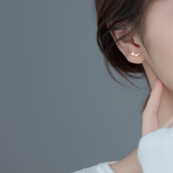 Khuyên tai bạc Le'Mare Jewelry G9436 - Ảnh 4